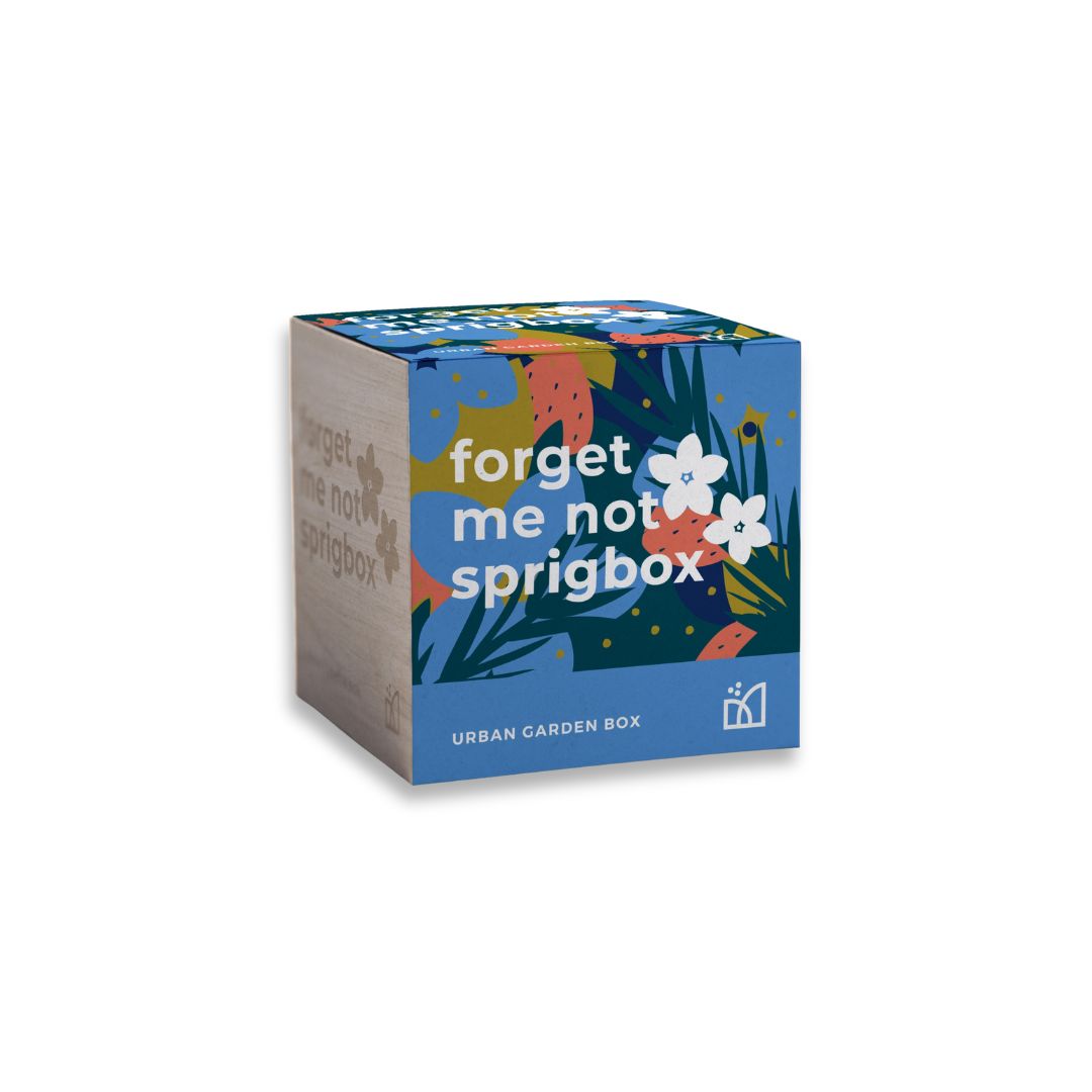 Forget Me Not Grow Kit β An eco-friendly, all-in-one planting kit with natural seeds and a wooden planter. A meaningful gift symbolizing love and remembrance.
