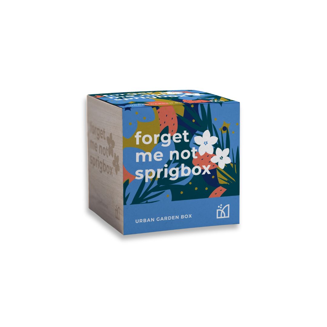 Forget Me Not Grow Kit – An eco-friendly, all-in-one planting kit with natural seeds and a wooden planter. A meaningful gift symbolizing love and remembrance.