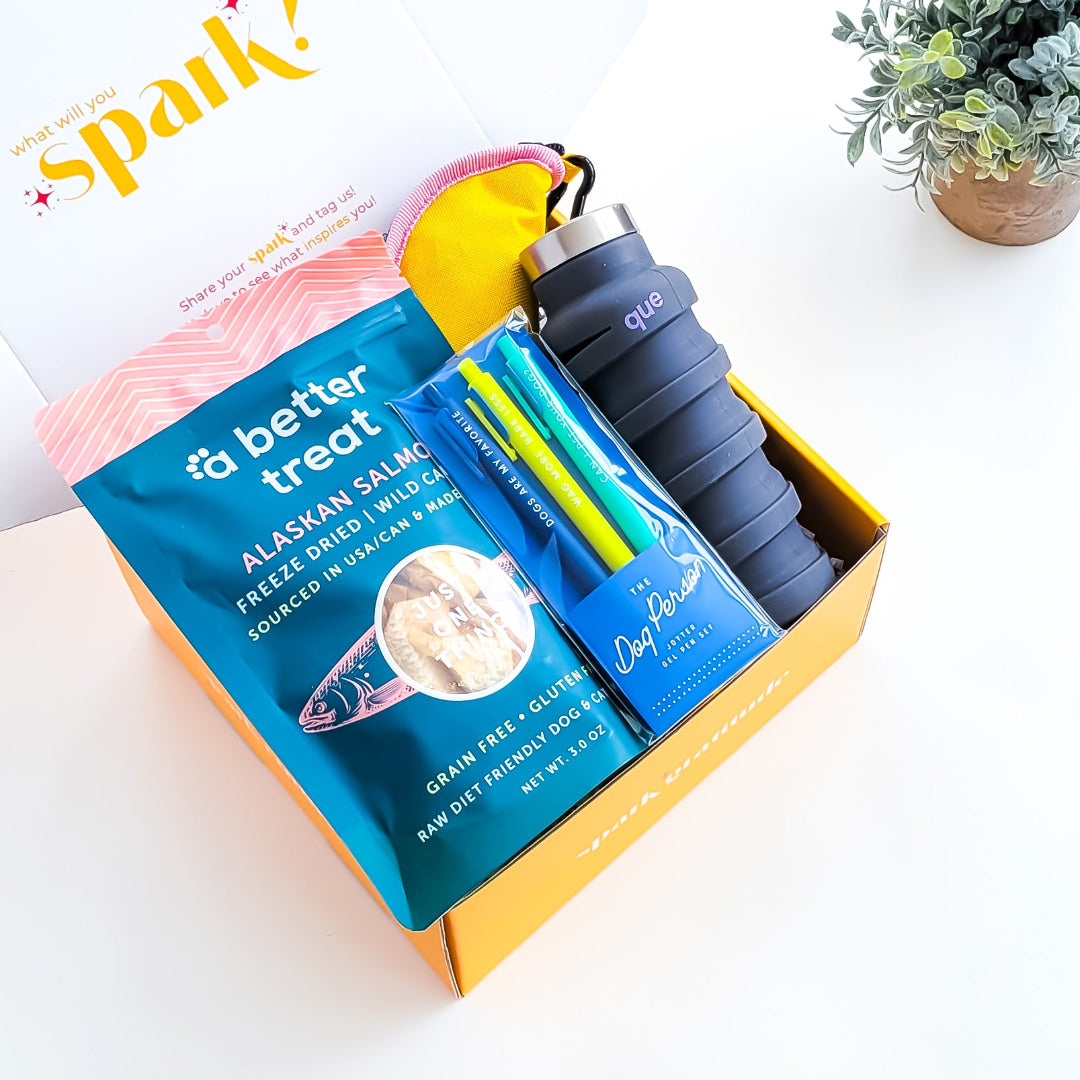 Friends Fur-Ever Dog Gift Box with Alaska salmon treats, collapsible travel bowl, jotter pen set, and a collapsible water bottle—perfect for dog lovers and their furry companions.