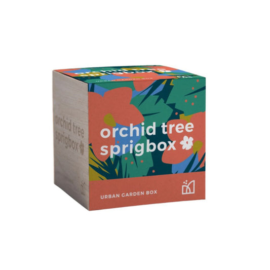 Orchid Sprigbox – An easy-to-grow, all-inclusive garden kit with natural seeds for stunning blooms. A perfect gift for plant lovers!